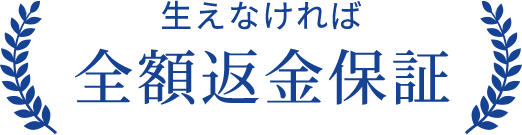 生えなければ全額返金保証